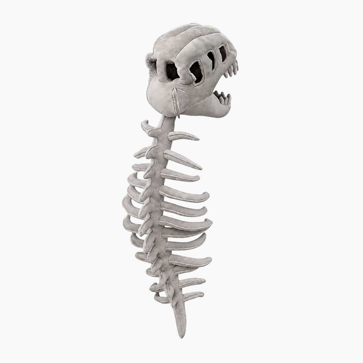 Costume Dinosaure